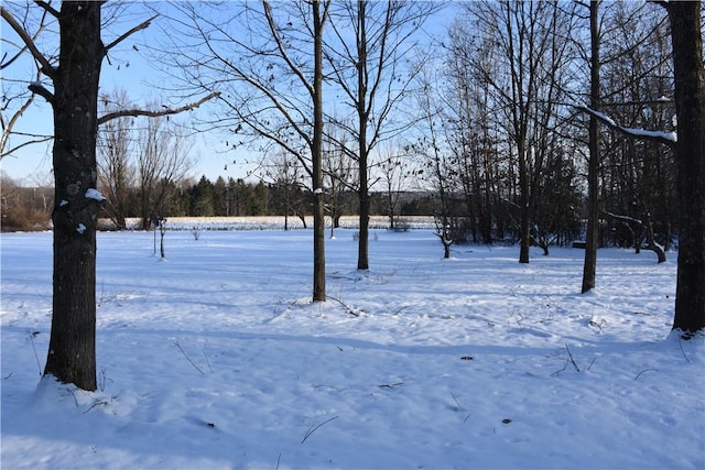 view of yard covered in snow