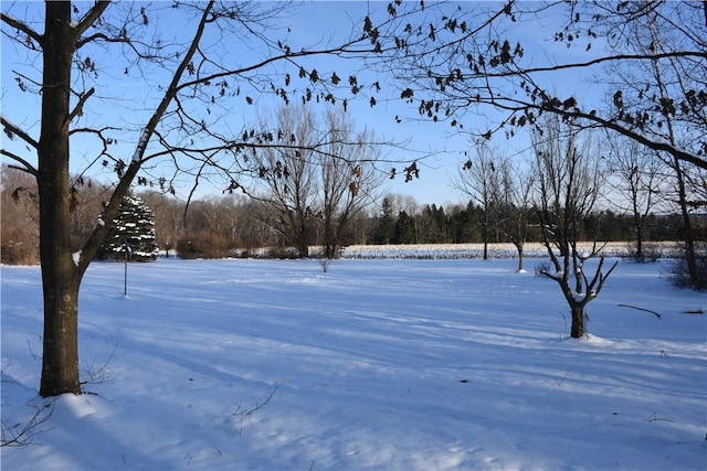 view of snowy yard