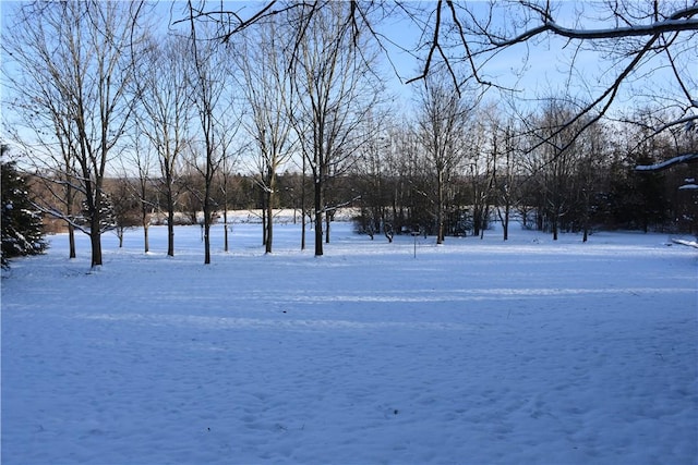 view of yard covered in snow