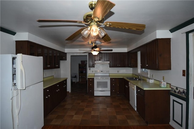 kitchen with ceiling fan, white appliances, dark brown cabinetry, and sink