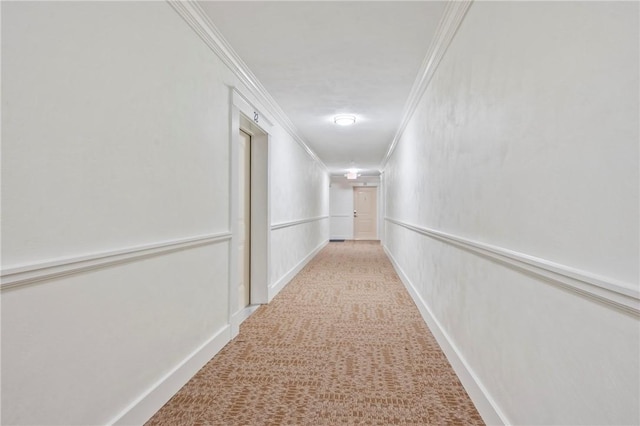 hall featuring crown molding and light carpet