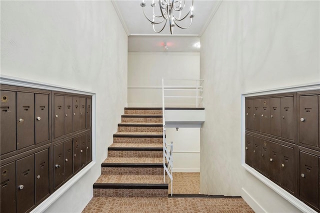 stairway with crown molding and carpet floors