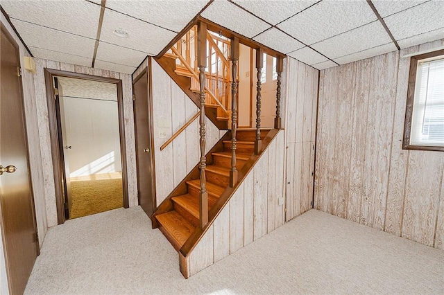 staircase with carpet flooring