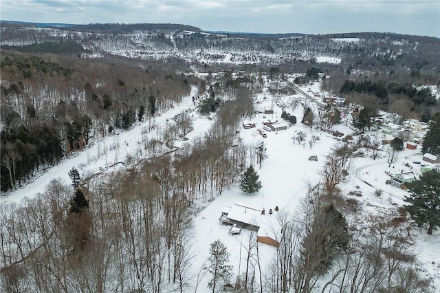 view of snowy aerial view