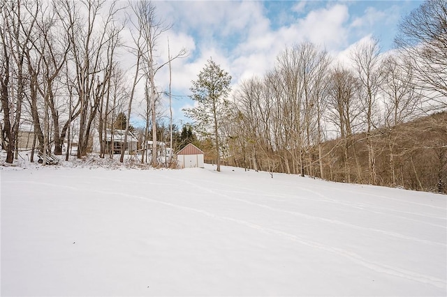 view of yard covered in snow