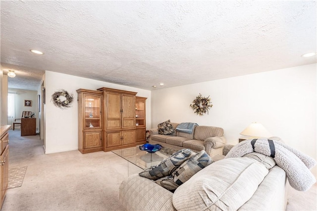 carpeted living room with a textured ceiling