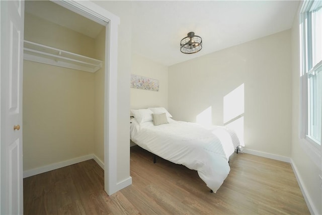 bedroom featuring wood-type flooring, a closet, and multiple windows