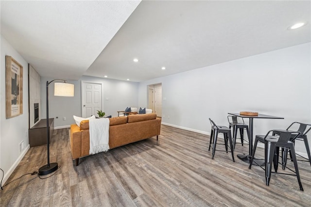 living room featuring hardwood / wood-style floors