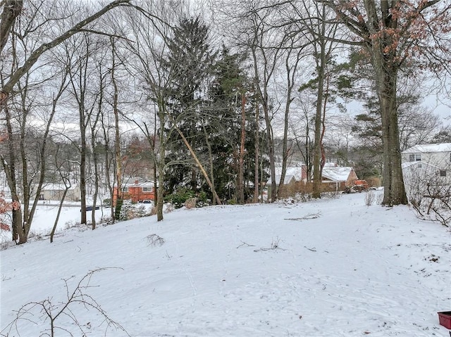 view of yard covered in snow