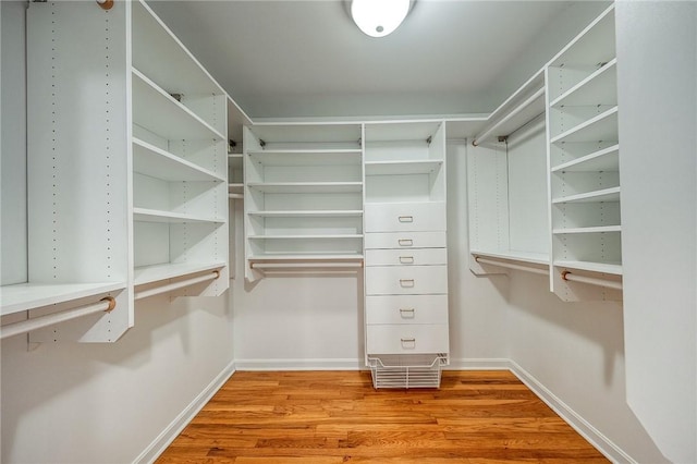 walk in closet with light hardwood / wood-style floors