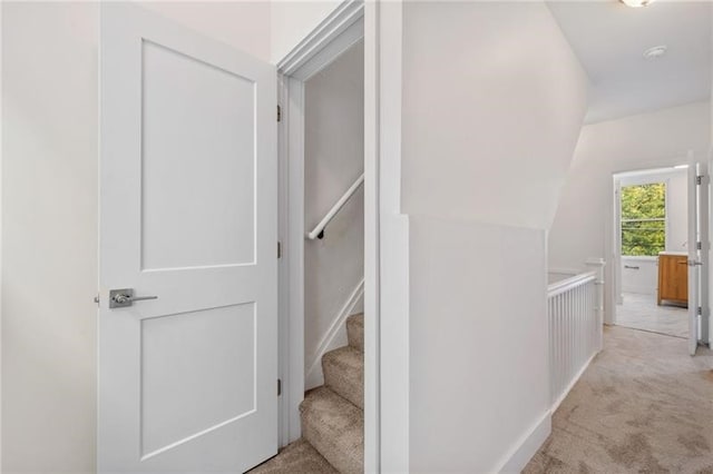 stairs featuring carpet and vaulted ceiling