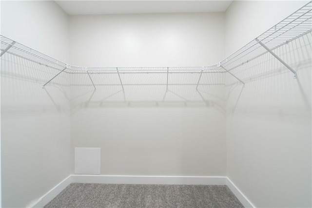 spacious closet featuring carpet