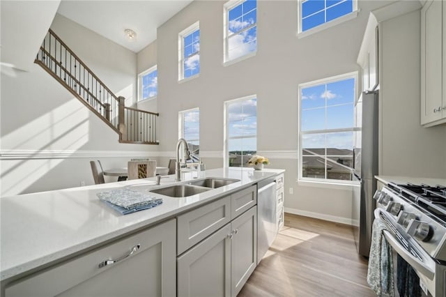 kitchen featuring stainless steel appliances, light hardwood / wood-style flooring, and sink