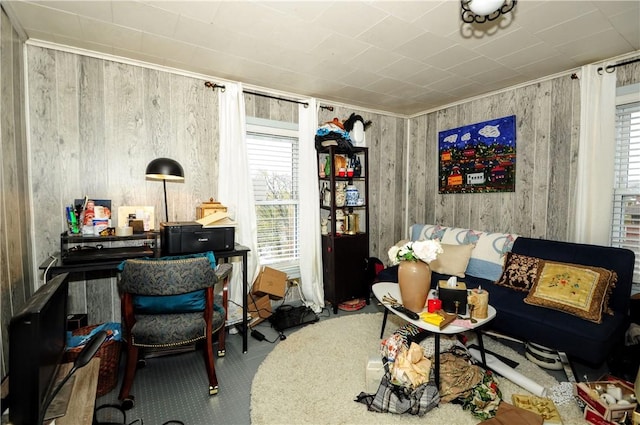 office space featuring carpet, a healthy amount of sunlight, and wooden walls