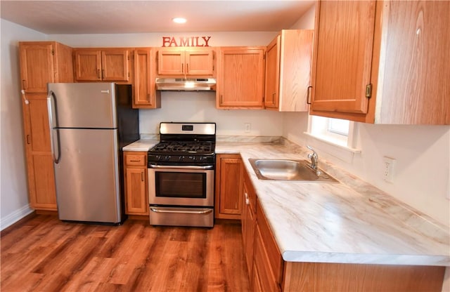 kitchen with sink, stainless steel appliances, and wood-type flooring