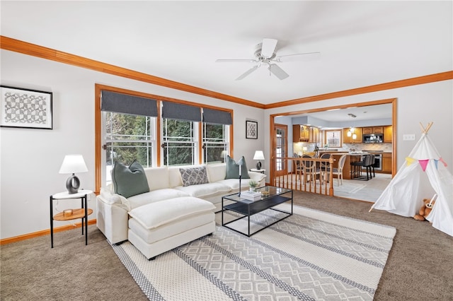 carpeted living room featuring ceiling fan and crown molding