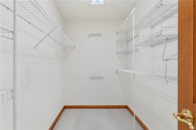 walk in closet featuring carpet