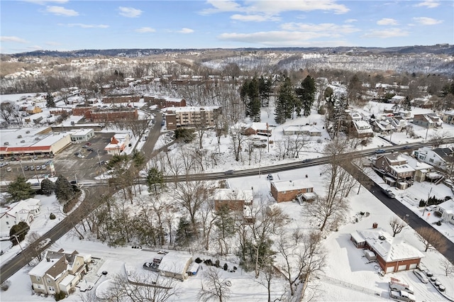 view of snowy aerial view