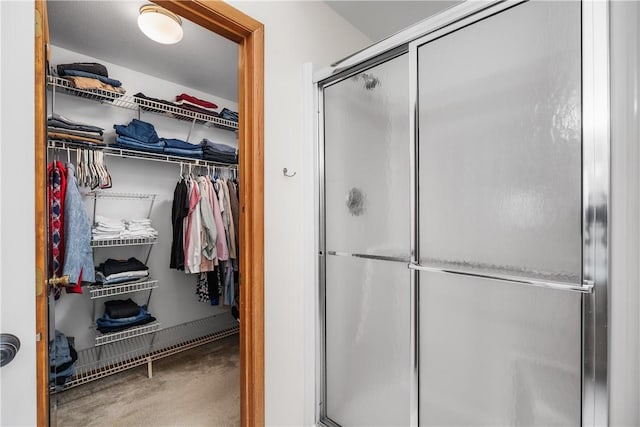 bathroom featuring an enclosed shower