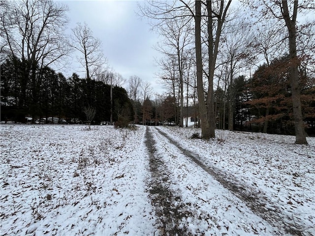 view of yard covered in snow