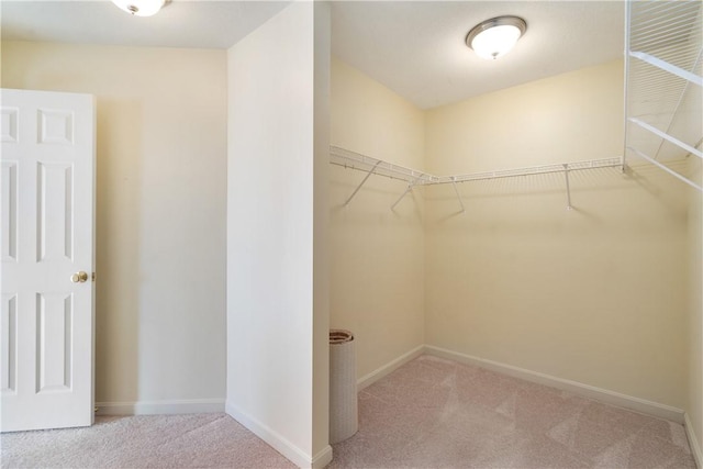 spacious closet with light carpet