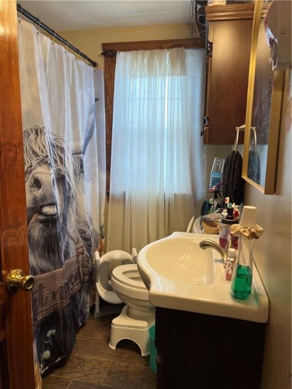 bathroom featuring vanity, hardwood / wood-style floors, and toilet