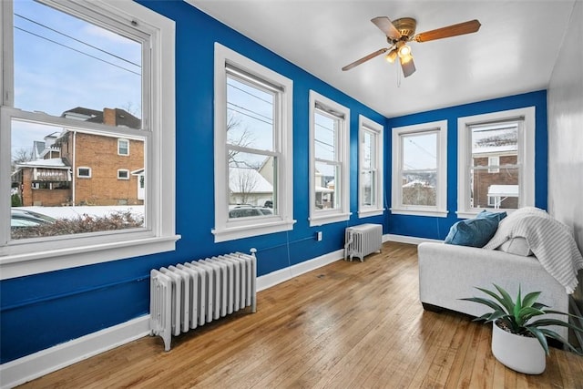 living area featuring ceiling fan, radiator heating unit, and light wood-type flooring