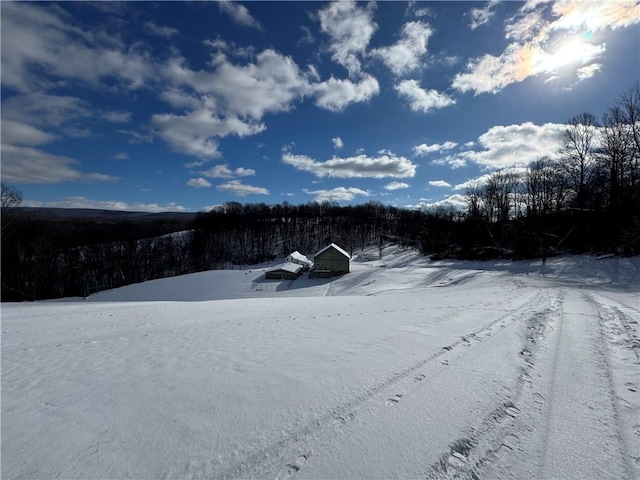 view of yard covered in snow