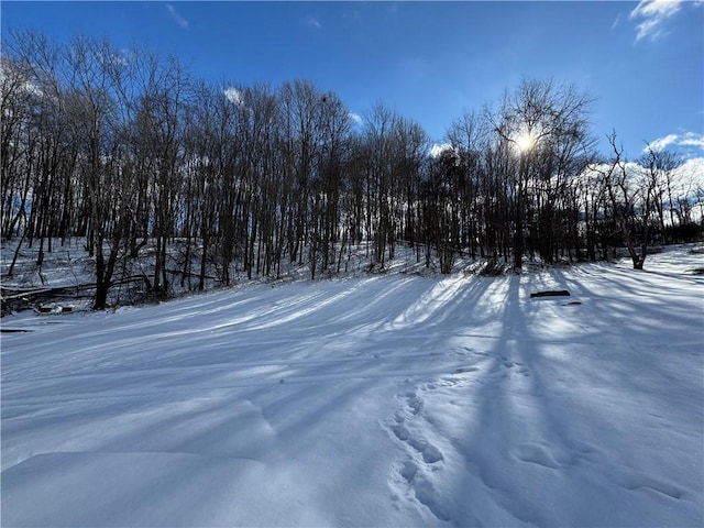 view of yard layered in snow