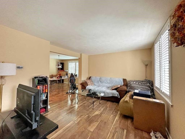 living room with hardwood / wood-style flooring