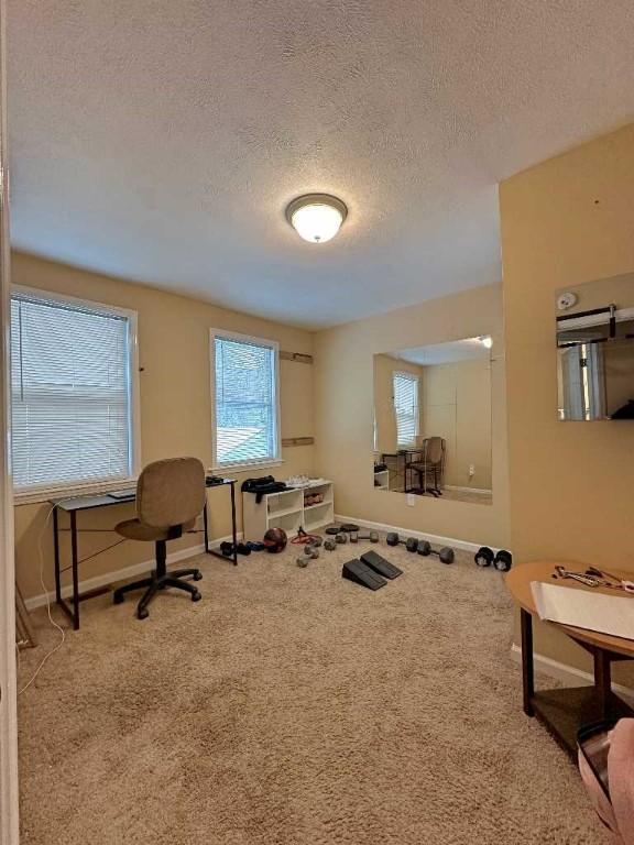 carpeted home office featuring a textured ceiling and a wealth of natural light