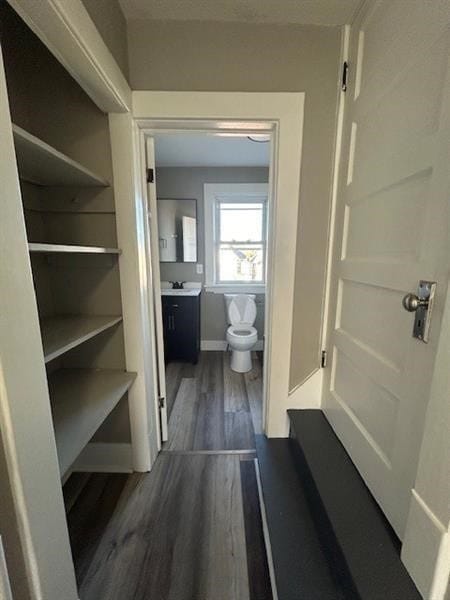 bathroom with vanity, wood-type flooring, and toilet