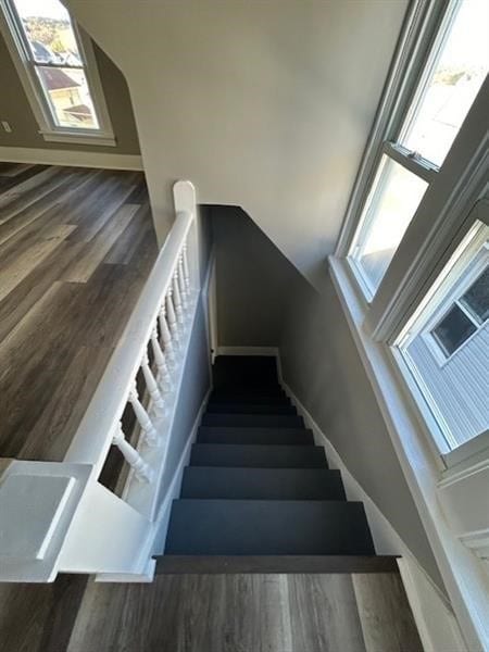 stairway featuring hardwood / wood-style floors