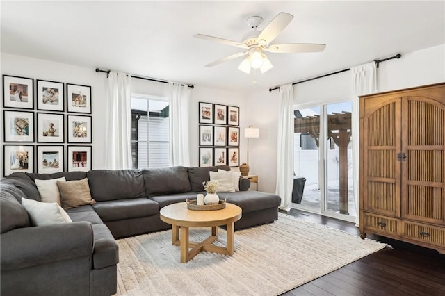 living room featuring ceiling fan and hardwood / wood-style floors