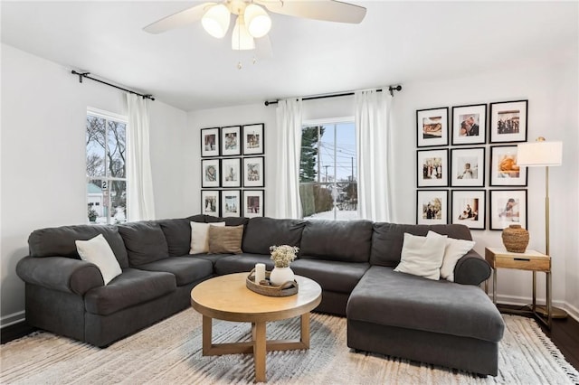 living room with ceiling fan, light wood-type flooring, and a wealth of natural light