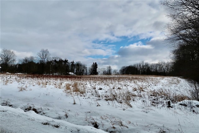 view of snowy landscape