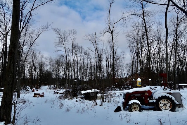 view of snowy yard