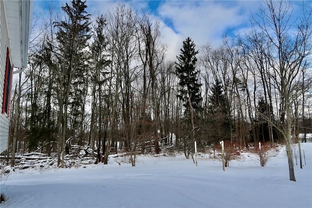 view of snowy landscape