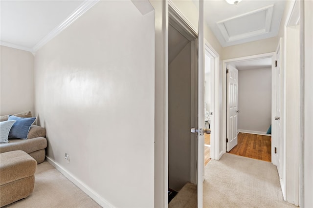 corridor with light carpet and crown molding