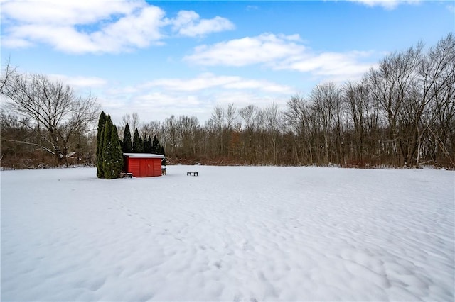 view of yard covered in snow