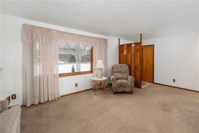 sitting room featuring carpet floors