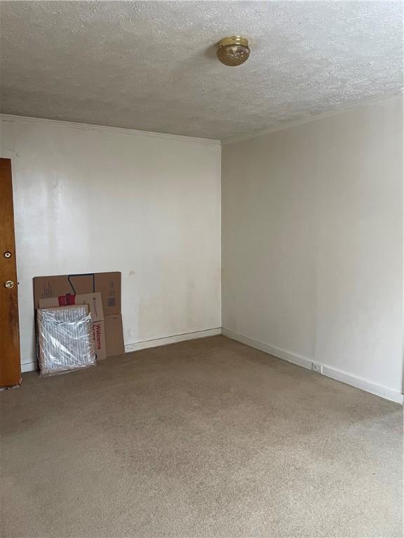 unfurnished living room with carpet flooring and a textured ceiling