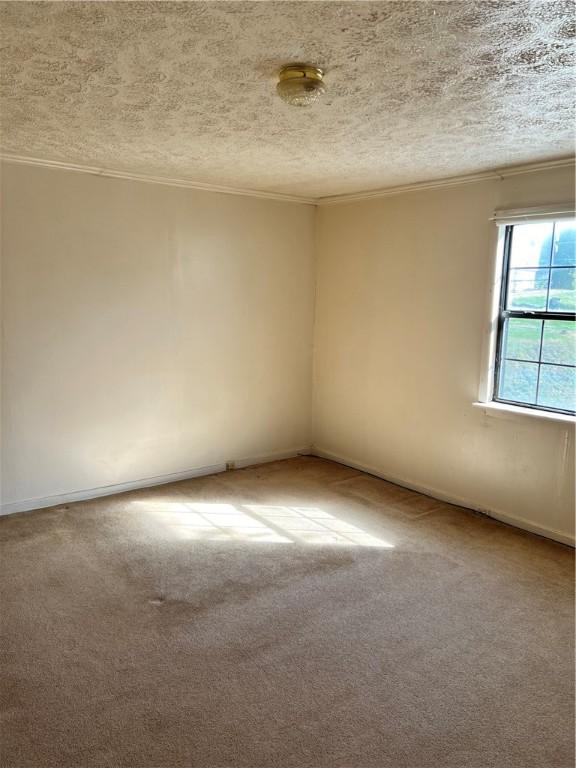 unfurnished room featuring carpet floors and a textured ceiling