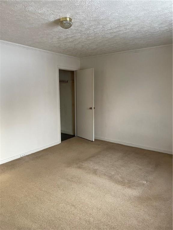 spare room featuring carpet flooring and a textured ceiling