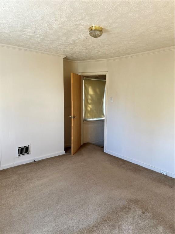 carpeted empty room featuring a textured ceiling and ornamental molding