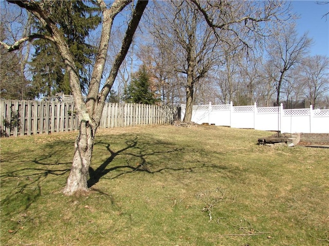 view of yard with a fenced backyard