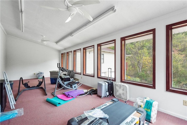 exercise room featuring carpet flooring, ceiling fan, and ornamental molding