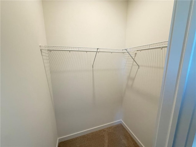 walk in closet featuring carpet floors