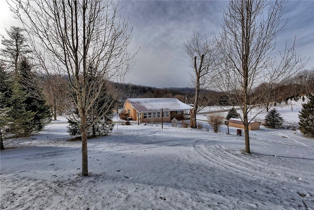 view of yard covered in snow