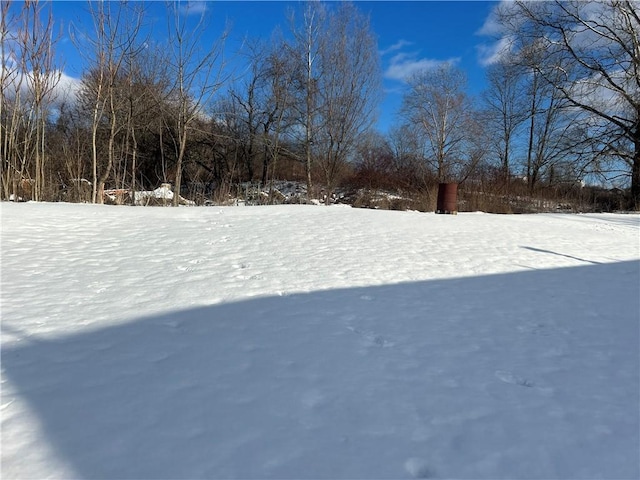 view of yard covered in snow